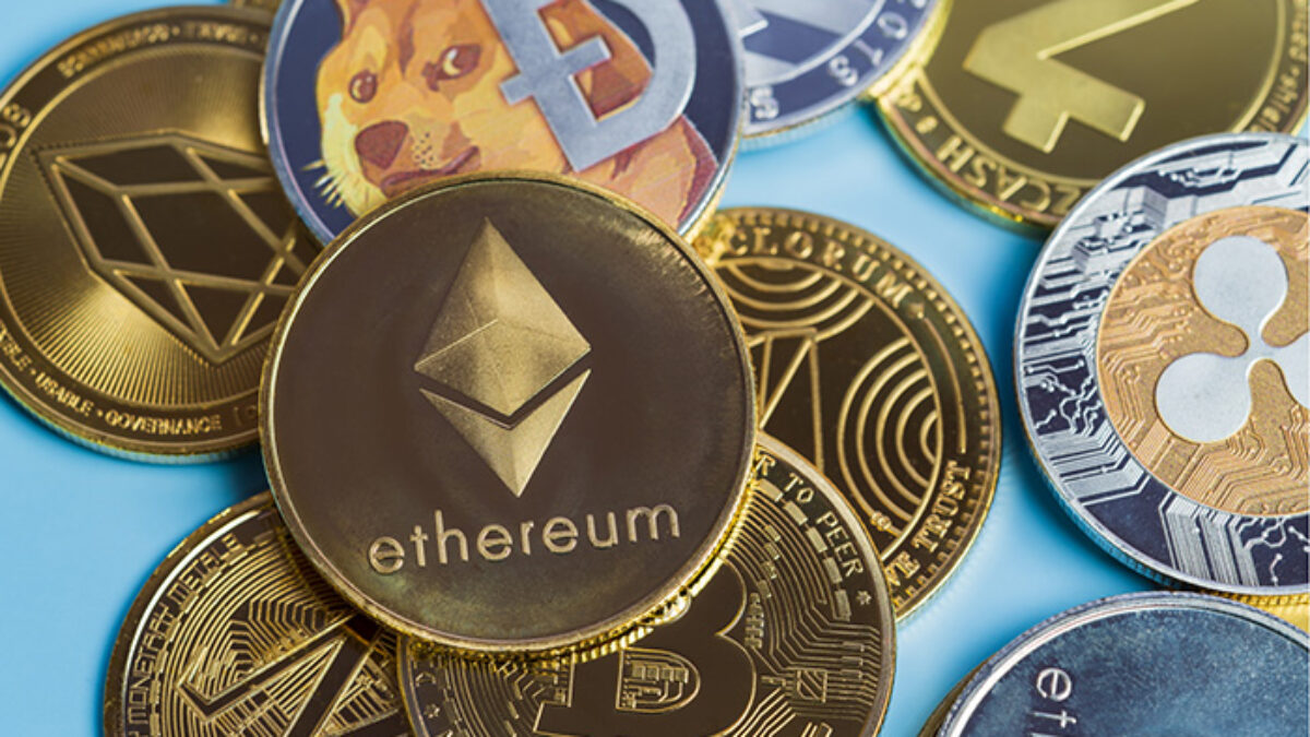 Dog Warriors Rescue - Donate via Crypto | Mission K9 Rescue